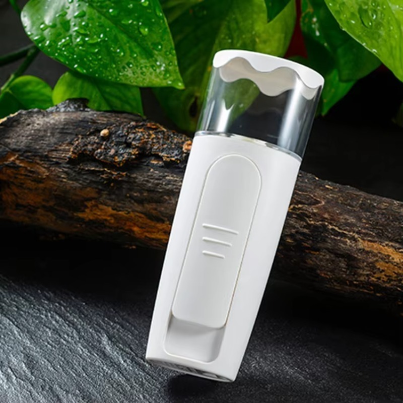 Mini vaporisateur facial nano  - Facial Steamer Nano avis et prix
