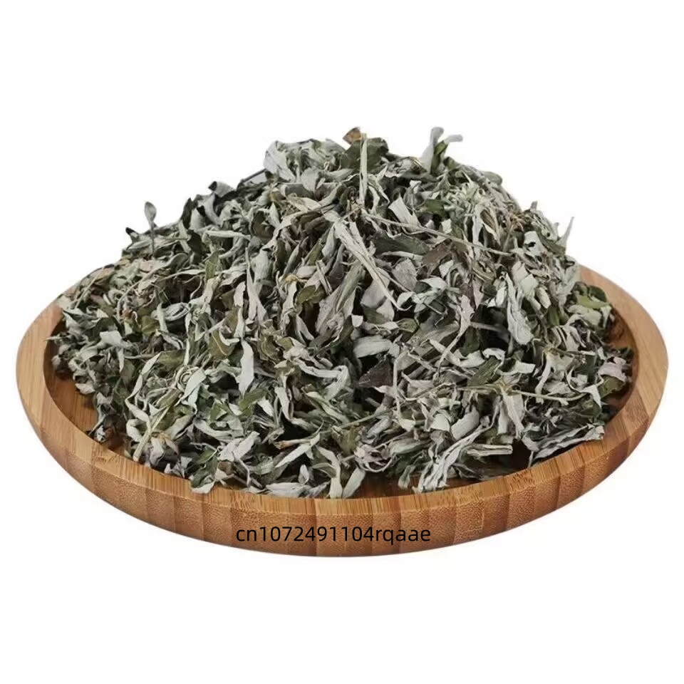 Feuilles d'Artemisia Argyi Séc - Relax - Spa & Wellness avis et prix